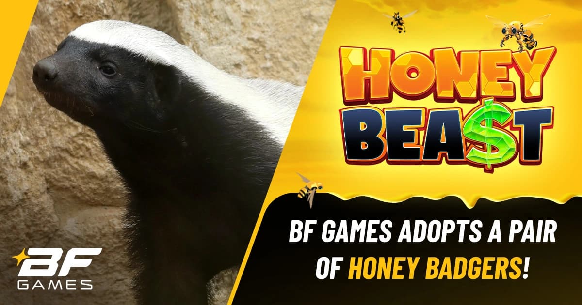 BF Games adopts a pair of honey badgers at Exmoor Zoo to mark the launch of Honey Beast