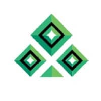 Netgame Entertainment logo