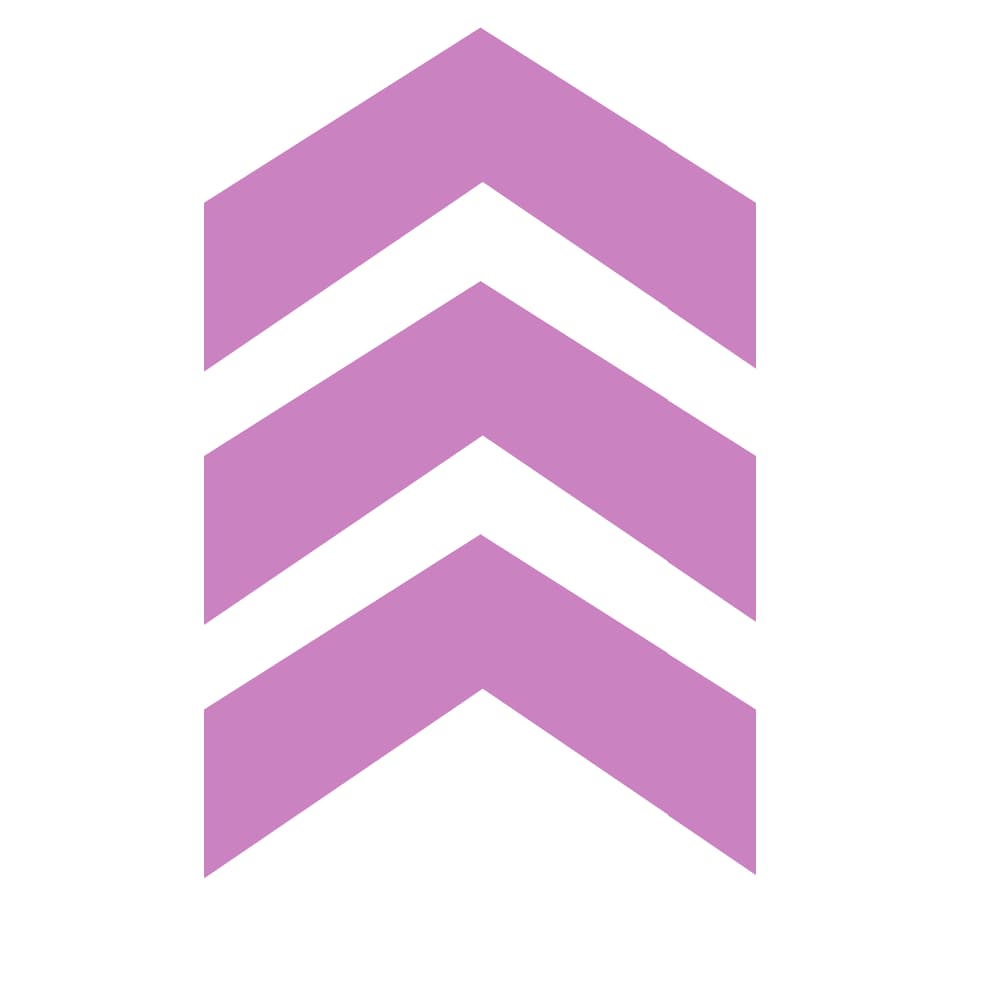 Elevate AI logo