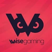 Wise Gaming logo