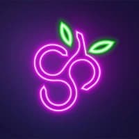 Spinberry Games logo