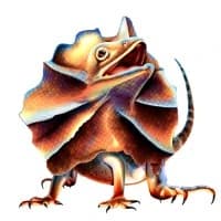 Red Desert Games logo