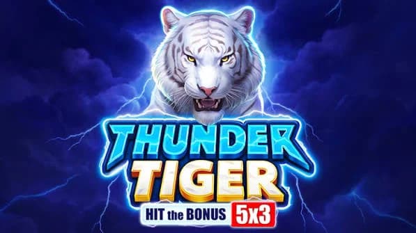 Thunder Tiger game screenshot