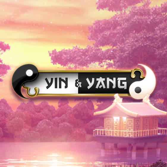Yin & Yang game screenshot
