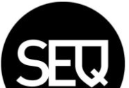 SEQ | CyberSecurity Logo